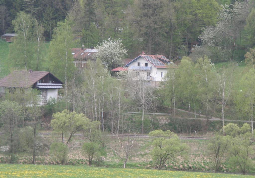 Ferienwohnung Regentalblick Miltach Exterior photo